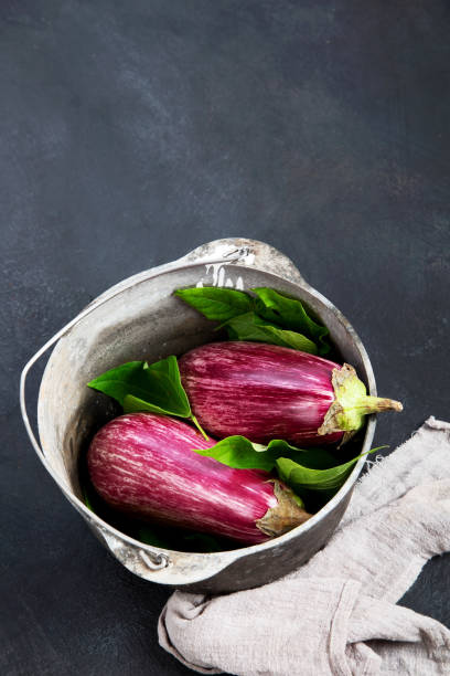 istock Fresh aubergine eggplant on gray background. 1414898843