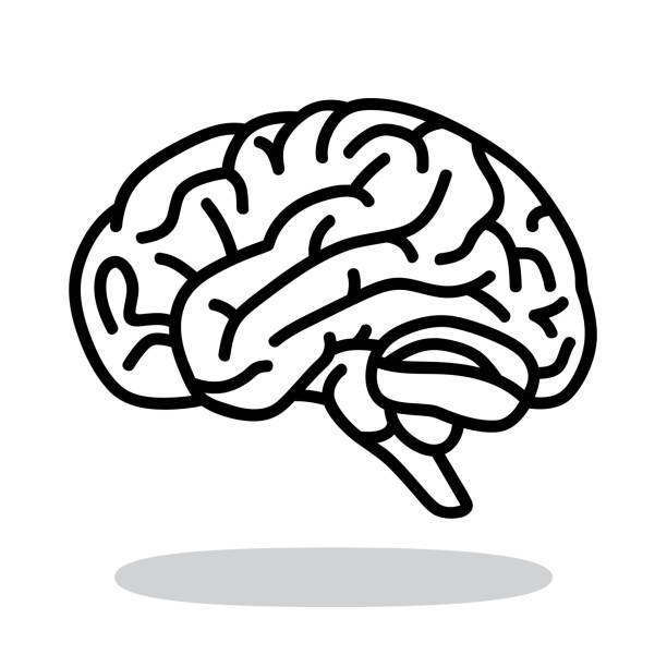 мозговой дудл 5 - brain stock illustrations