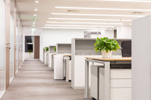 istock Empty office interior with filing cabinets, desk chairs and plants 1414900353