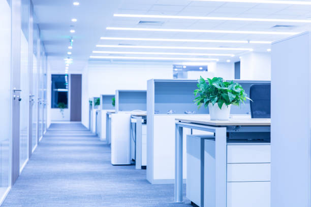 istock Empty modern office interior with a potted plant on the table 1414900385