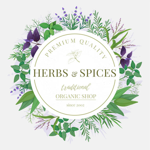 ilustrações de stock, clip art, desenhos animados e ícones de herbal emblem. fresh seasoning green spice mint, peppermint and basil. circle cooking label with sage leaf, organic farm food ingredients. organic culinary round frame isolated vector set - oregano rosemary healthcare and medicine herb