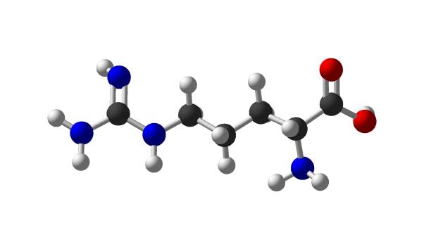 arginine 3d molecular structure isolated on white background chemistry atom molecule - molecule amino acid arginine molecular structure imagens e fotografias de stock