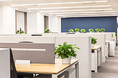 Office interior work partitions