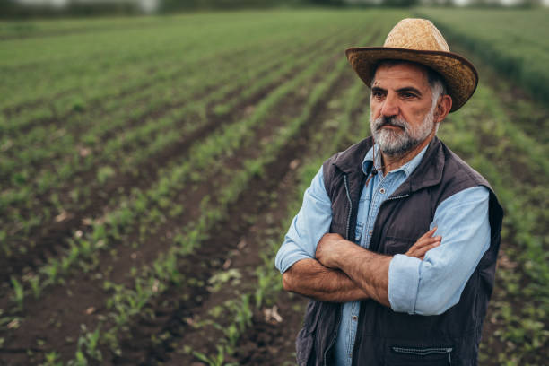 istock mature caucasian farmer on field 1414903707