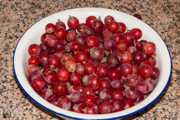 uva rossa - grape red grape red farmers market foto e immagini stock