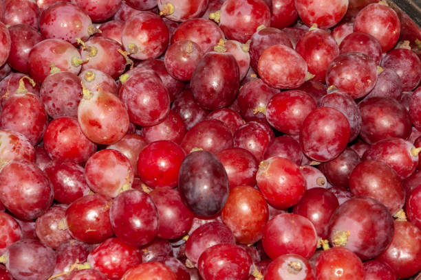 rote traube - grape red grape red farmers market stock-fotos und bilder