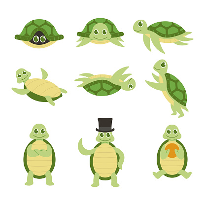 Set of sea turtle cartoon cute animal vector illustration