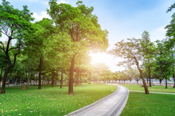 istock garden gardening road natural scenery 1414907953