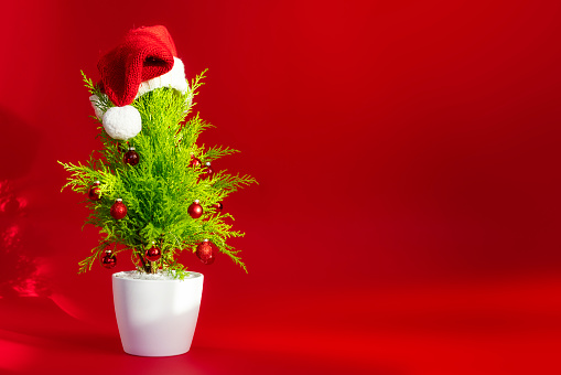 Big merry christmas and new year banner with copy space. On a red background, a small, cozy Christmas tree, a cypress with a Santa's cap on top. Mockup for text, product or design