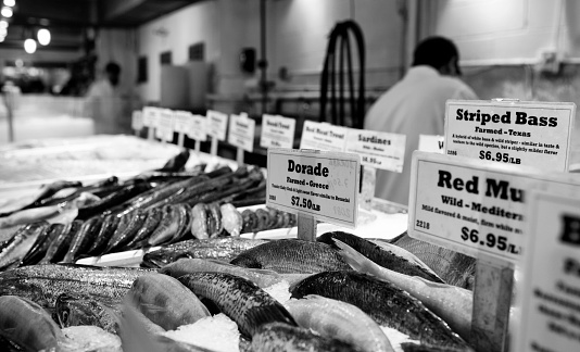 Fresh seafood at the fish market. NYC.