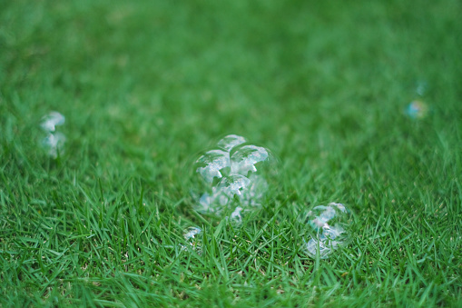 Close-up shot of transparent soap bubble above green grass