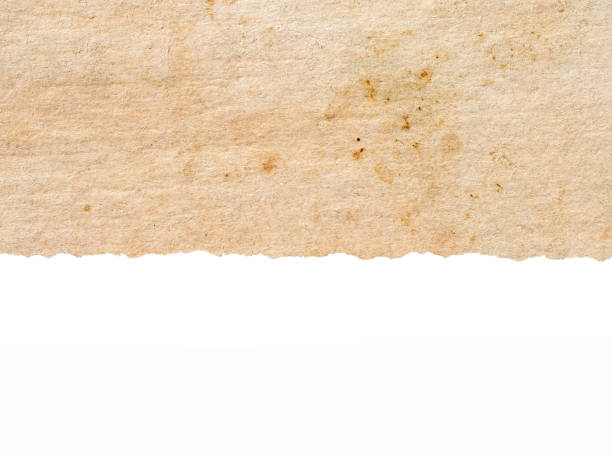 istock texture of old brown grunge paper isolated on white background 1414919986