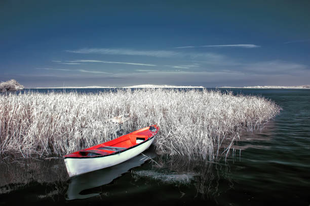 Infrared landscape photos taken in various countries