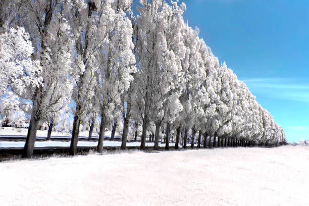 istock Infrared landscape photos taken in various countries 1414924483