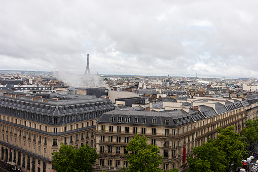 View on Tuileries garden in Paris, building of Rivoli street in background. France