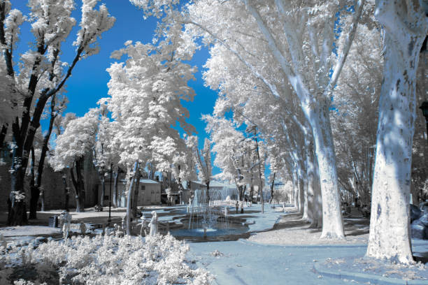 Infrared landscape photos taken in various countries