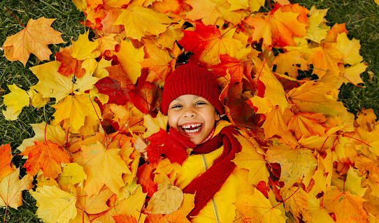 A girl with a wide smile lies on a carpet of red and yellow leaves in an autumn park. Queen of autumn and mood