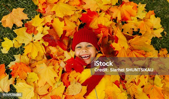 istock A girl with a wide smile lies on a carpet of red and yellow leaves in an autumn park. 1414928680