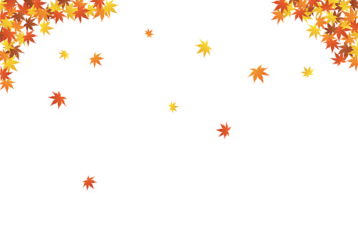 Autumn leaves frame background material, Maple, copy space