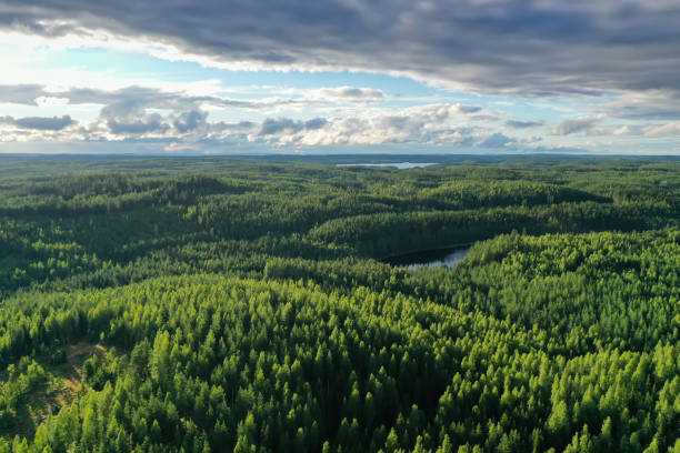 Finland lake nature landscape forest wilderness
