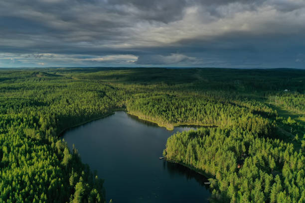 istock Finland lake nature landscape forest wilderness 1414930624