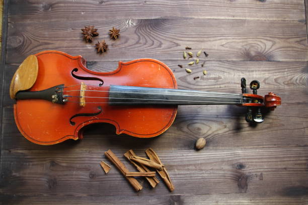 istock violin and various spices on wooden background 1414932909