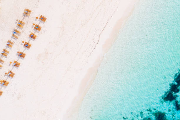Aerial of Palm trees on Rendezvous Bay Beach, Anguilla