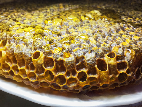 Honeycomb honey and propolis