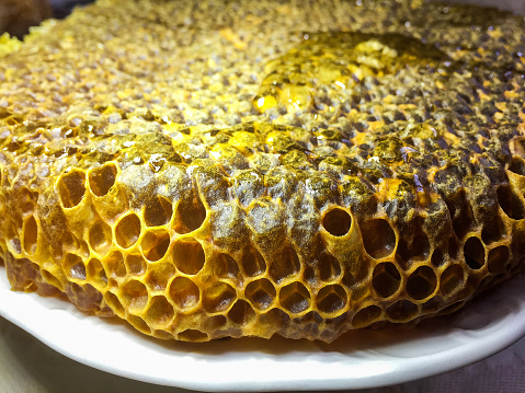 Honeycomb honey and propolis