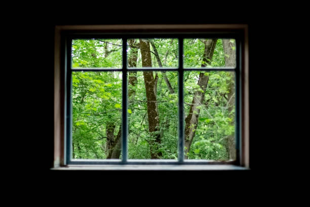 istock dark room, open window to the green forest 1414934237