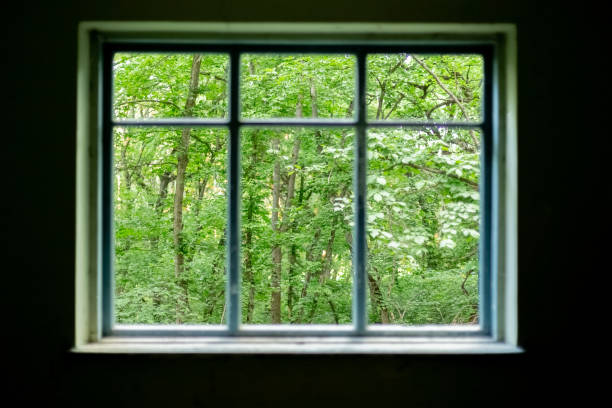 istock dark room, open window to the green forest 1414934302