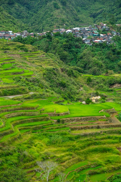 istock Maligcong in Luzon Island, Philippines 1414939265