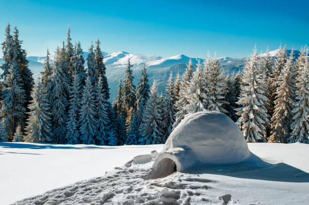 vero igloo di neve nelle montagne invernali - igloo foto e immagini stock