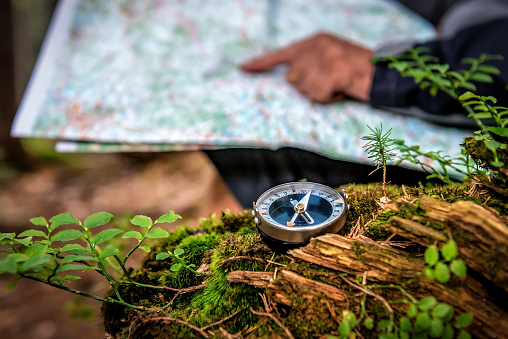 Compass and tourist with map in the forest