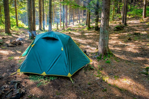 istock Tourist tent in wild forest 1414944403