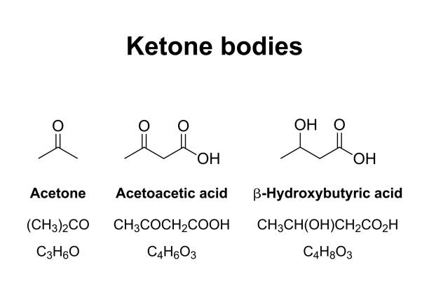 ciała ketonowe, wytwarzane przez ketogenezę, wzory chemiczne - fatty acid stock illustrations