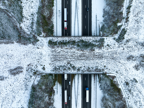 Wildlife overpass animal crossing over a highway through a snowy forest landscape seen from above with cars and trucks driving on the black asphalt and animal tracks in the snow visible on the bridge. The A50 highway through the Veluwe nature reserve is surrounded by snow covered pine trees.