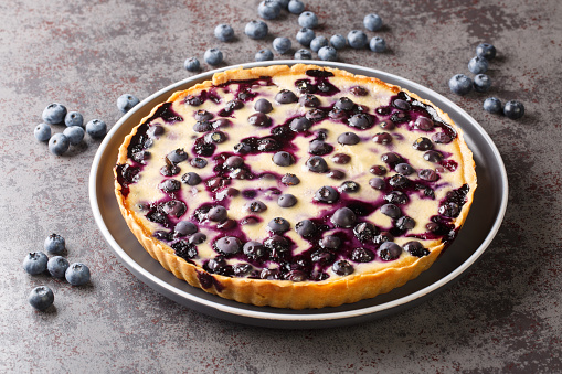 Delicious blueberry tart with custard and crispy crust close-up in a plate on the table. Horizontal