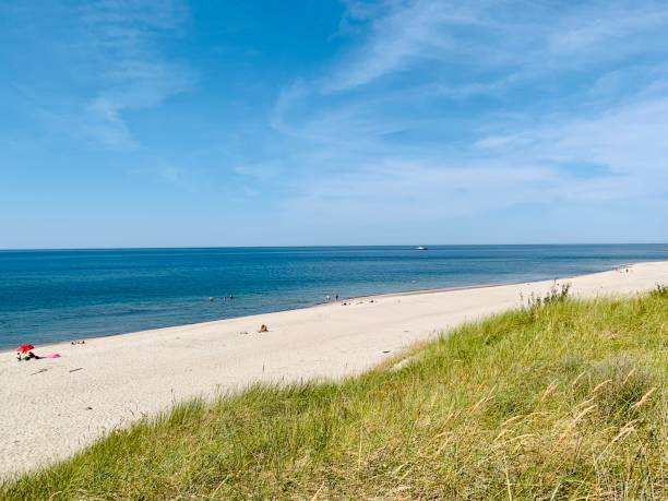 istock Sandy shore Baltic Sea dunes 1414956054