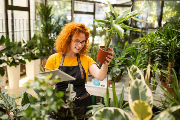 istock Young redhead woman working in a potted plant store using digital tablet 1414957416