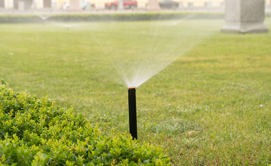 Lawn irrigation system in the garden from drought. Automatic sprinkler for watering green grass. selective focus.