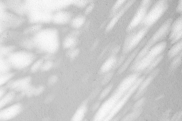 istock Black and White abstract background texture of shadows leaf on a concrete wall. 1414967258