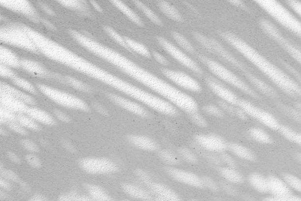 istock Black and White abstract background texture of shadows leaf on a concrete wall. 1414967270
