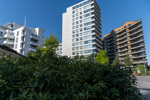 Low angle view of a modern apartment building with green shrubs and trees in the foreground .
