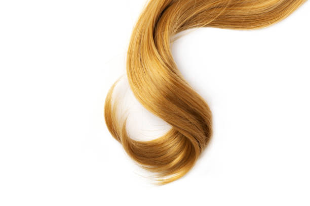 白い背景に隔離された長い金色の金色の巻き毛。 - fashion shiny blond hair hairstyle ストックフォトと画像