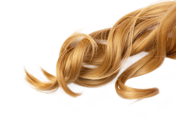 istock Long golden blond curly hair isolated on white background. 1414971347