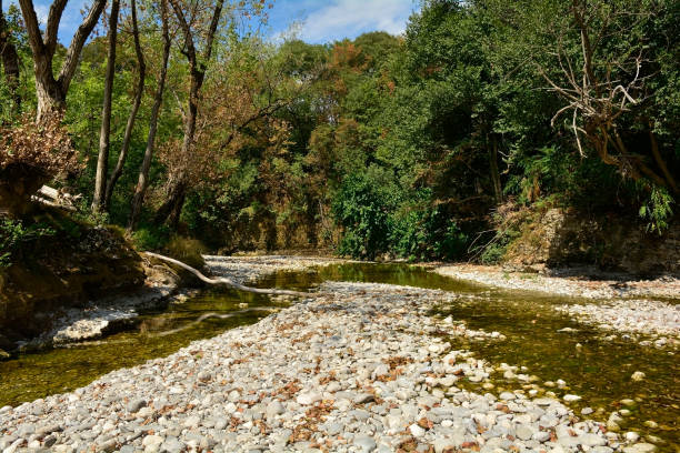 The Natisone river during the 2022 drought as it flows through the north east Italian village of Premariacco, Udine Province, Friuli-Venezia Giulia. Normally a very busy swimming spot during the summer, it is deserted as the water is reduced to a trickle. August 7th 2022