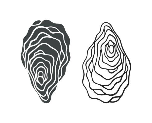 ilustrações de stock, clip art, desenhos animados e ícones de oyster. isolated oyster  on white background - catch of fish illustrations