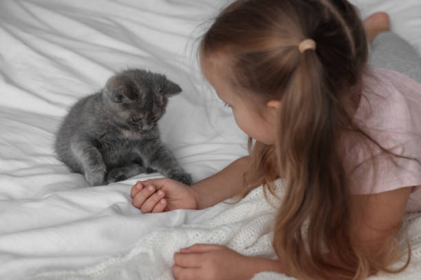 bambina carina che gioca con il gattino sul letto. animale domestico d'infanzia - 4 of a kind foto e immagini stock