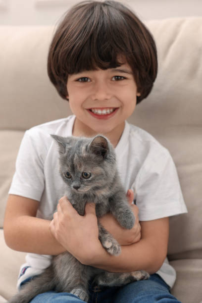 ragazzino carino con gattino sul divano. animale domestico d'infanzia - 4 of a kind foto e immagini stock
